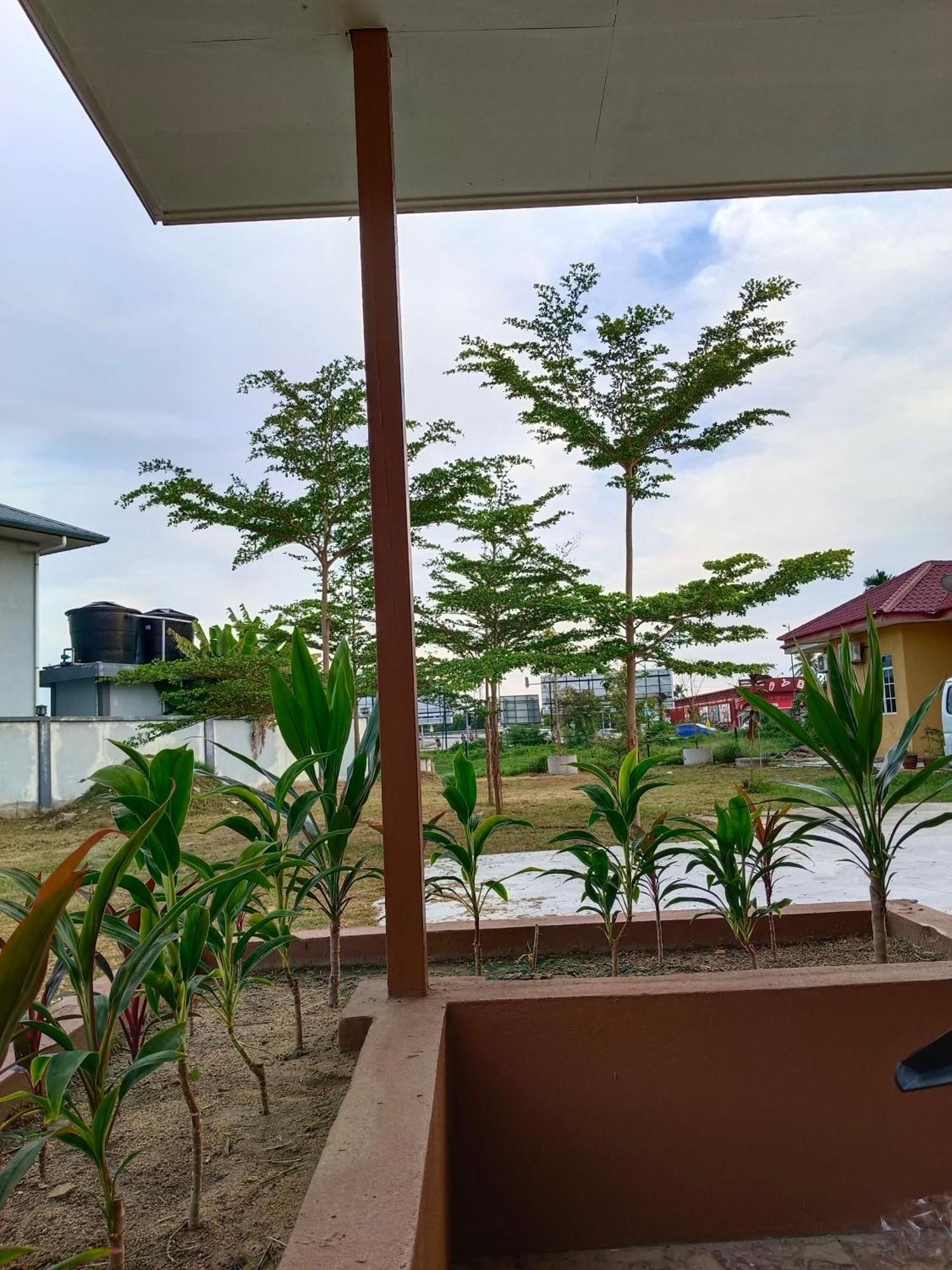 Alfa Roomstay Pantai Cenang  Kültér fotó